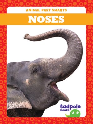 cover image of Noses